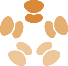 InKonstellation GmbH